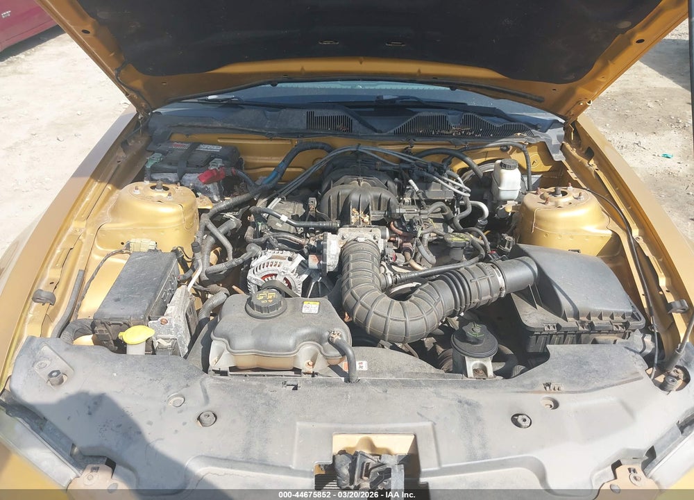 2010 FORD MUSTANG V6/V6 PREMIUM VIN: 1ZVBP8AN0A5173239