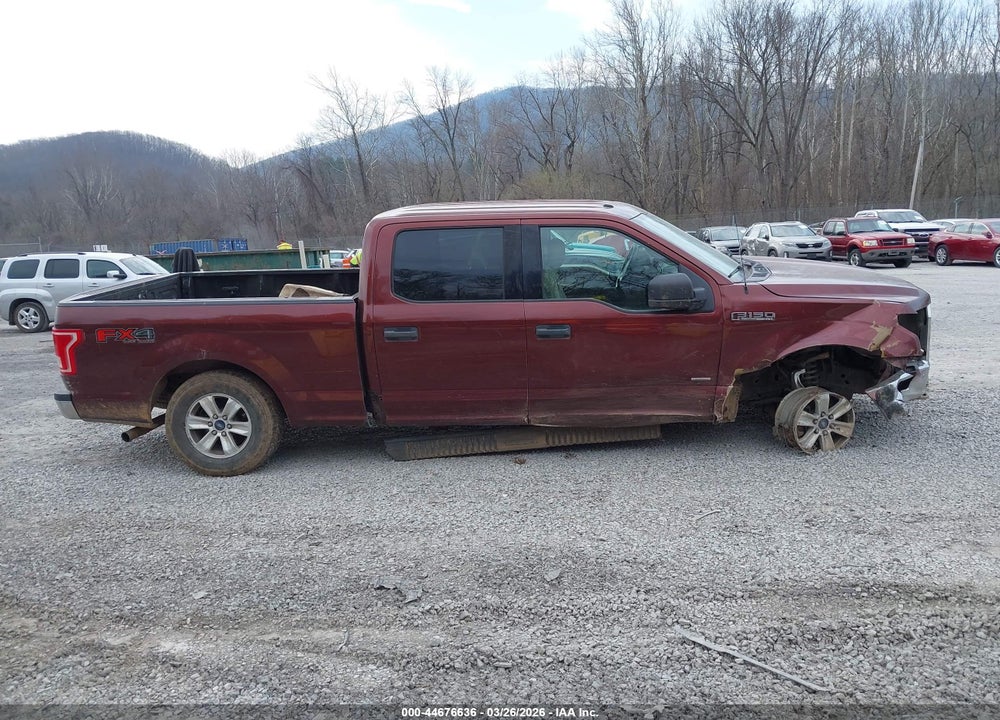 2015 FORD F-150 XLT VIN: 1FTFW1EG1FKD12703