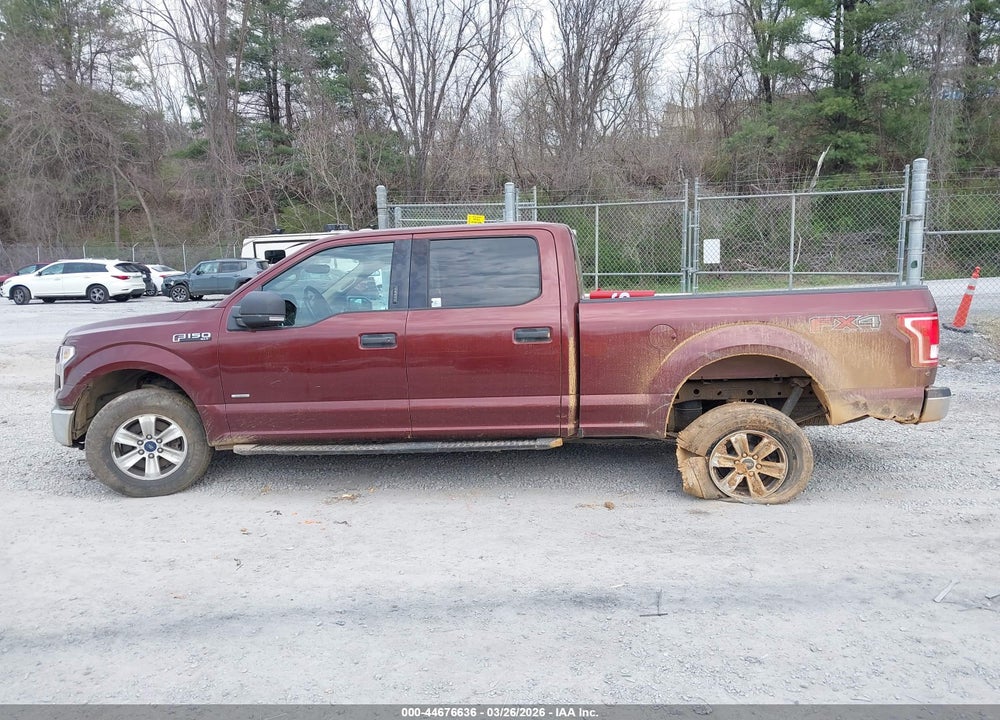 2015 FORD F-150 XLT VIN: 1FTFW1EG1FKD12703