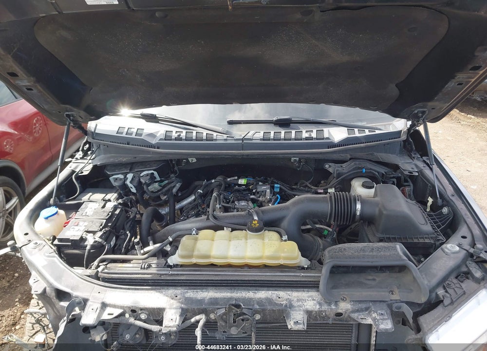 2019 FORD F-150 XLT VIN: 1FTEW1EP9KFB27765