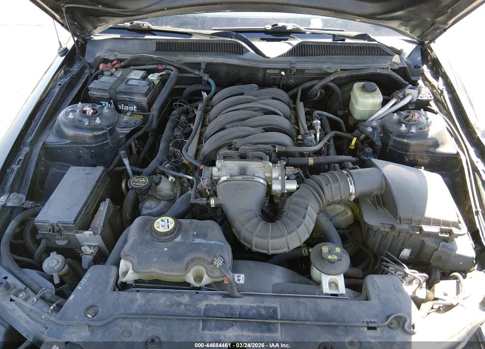 2006 FORD MUSTANG GT VIN: 1ZVFT82H865138199
