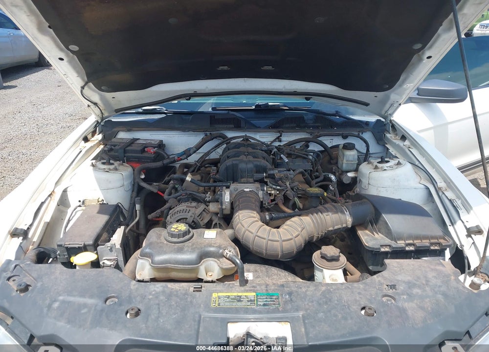 2010 FORD MUSTANG VIN: 1ZVBP8EN8A5167408