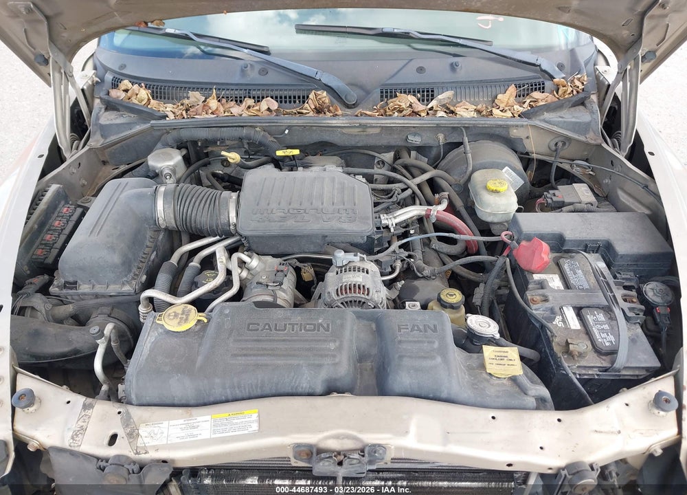 2004 DODGE DAKOTA SLT VIN: 1D7HL48N14S728492