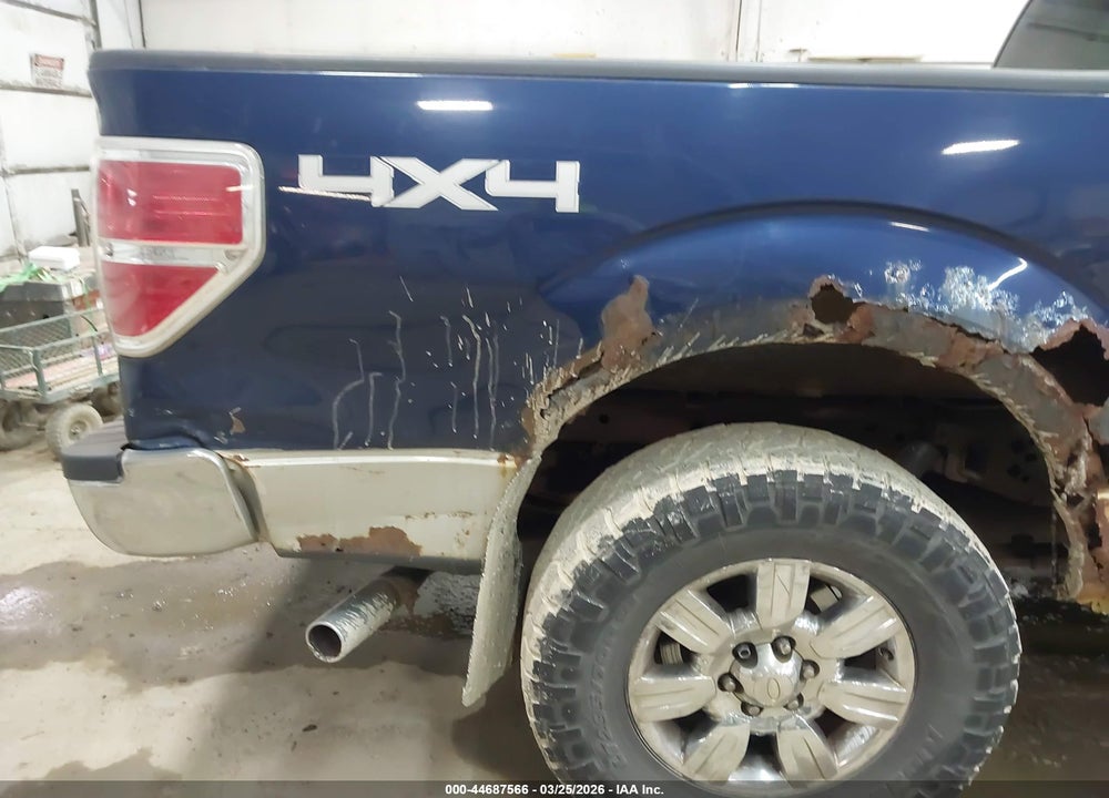 2009 FORD F-150 XLT VIN: 1FTPX14V79FB28753
