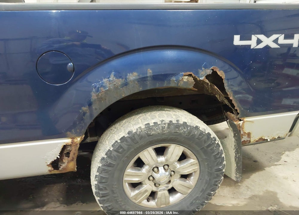 2009 FORD F-150 XLT VIN: 1FTPX14V79FB28753