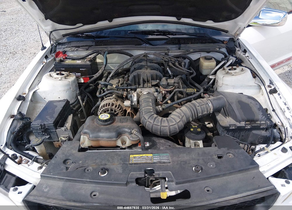 2008 FORD MUSTANG VIN: 1ZVHT80NX85115785