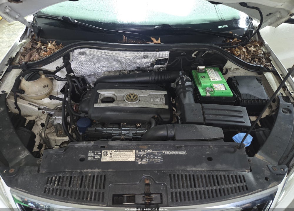 2010 VOLKSWAGEN TIGUAN WOLFSBURG EDITION VIN: WVGBV7AX8AW515384
