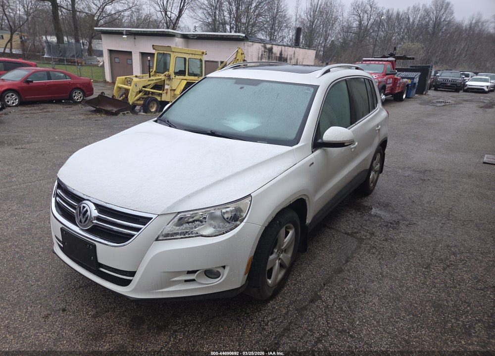 2010 VOLKSWAGEN TIGUAN WOLFSBURG EDITION VIN: WVGBV7AX8AW515384