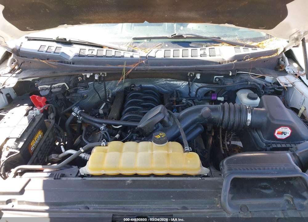 2015 FORD F-150 XLT VIN: 1FTEW1EF8FFA65742