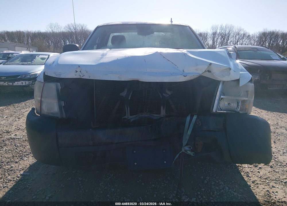 2007 CHEVROLET SILVERADO 1500 WORK TRUCK VIN: 1GCEC14C87Z555159