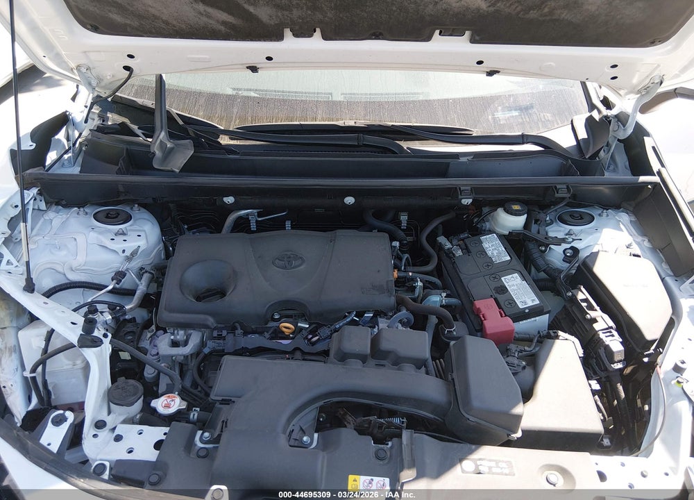 2024 TOYOTA RAV4 XLE VIN: 2T3W1RFV7RW304319