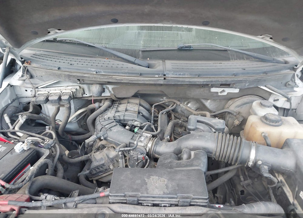 2012 FORD F-150 XL VIN: 1FTMF1CM9CKD24822