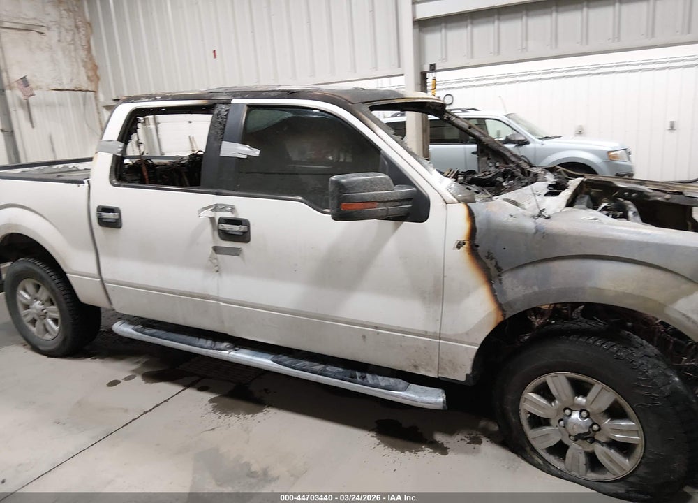 2011 FORD F-150 XLT VIN: 1FTFW1EF5BKE09937