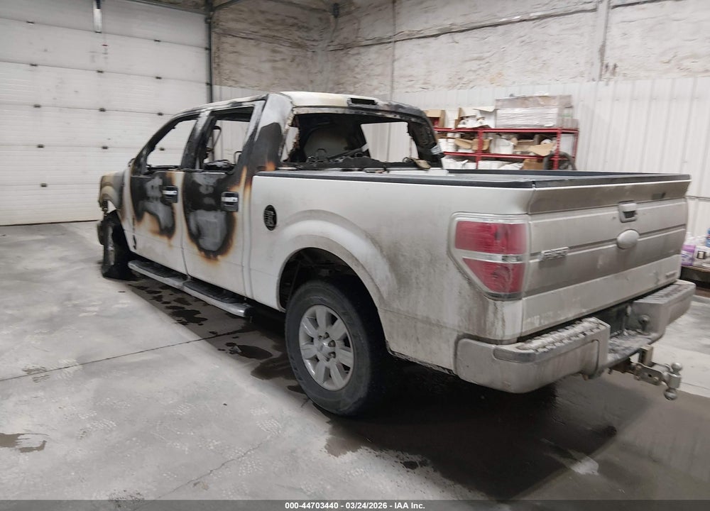 2011 FORD F-150 XLT VIN: 1FTFW1EF5BKE09937