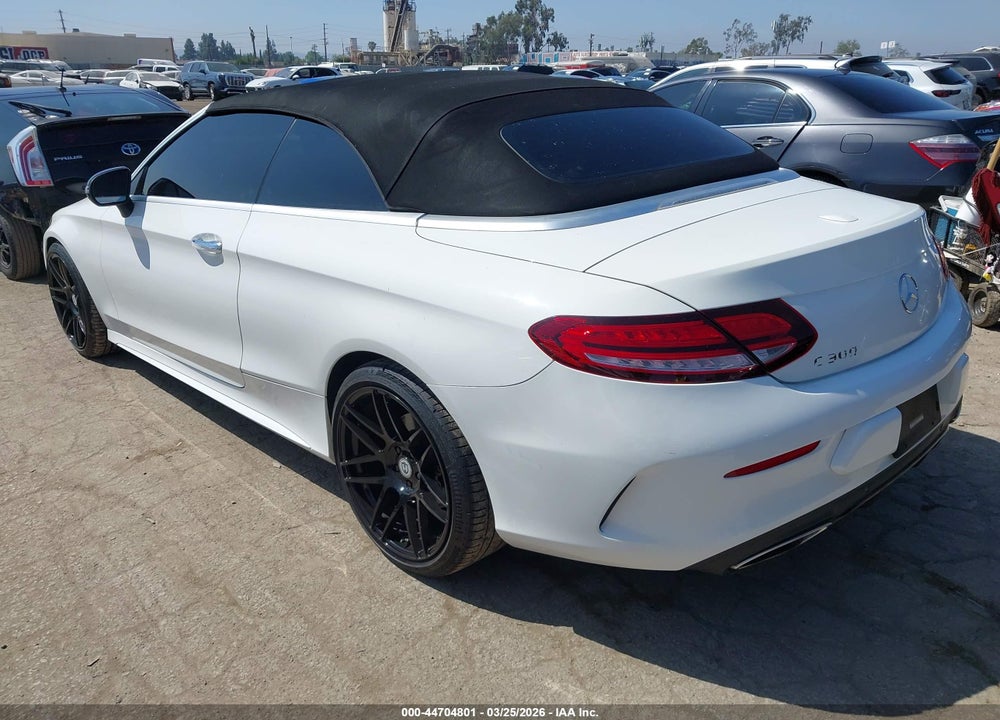 2019 MERCEDES-BENZ C 300 VIN: WDDWK8DB6KF835802