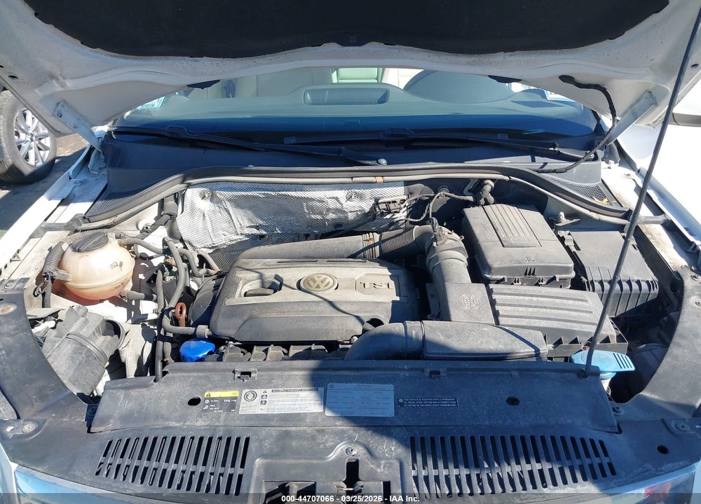 2010 VOLKSWAGEN TIGUAN WOLFSBURG EDITION VIN: WVGBV7AX4AW538161