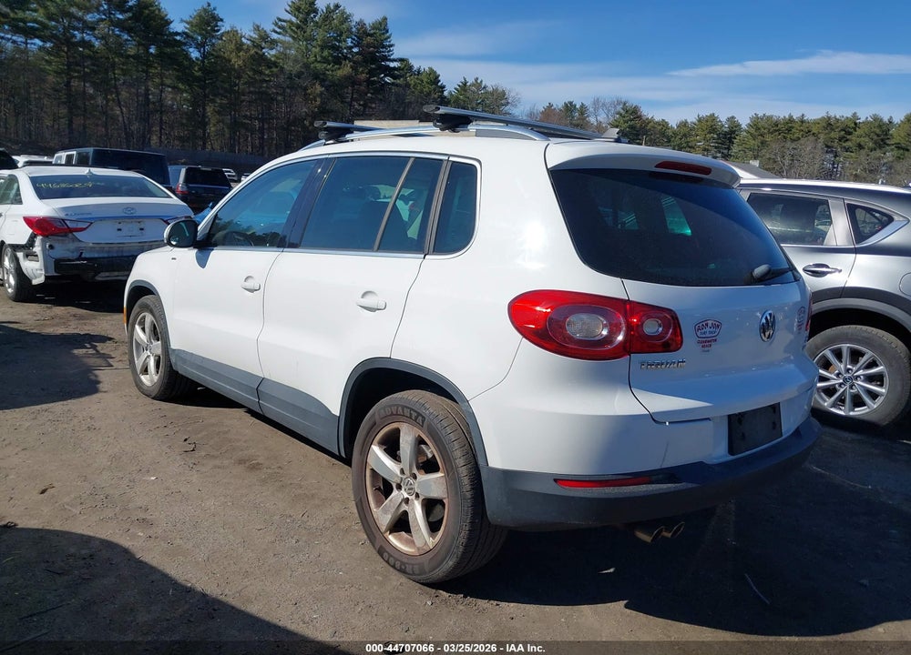2010 VOLKSWAGEN TIGUAN WOLFSBURG EDITION VIN: WVGBV7AX4AW538161