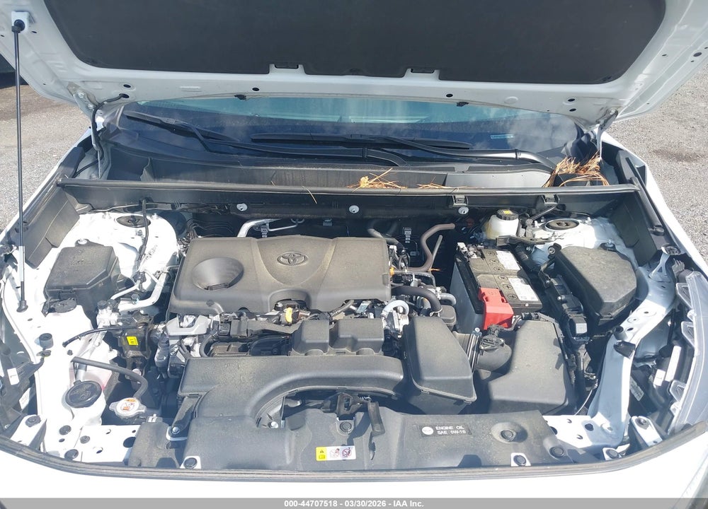 2024 TOYOTA RAV4 XLE VIN: 2T3P1RFV5RC443662