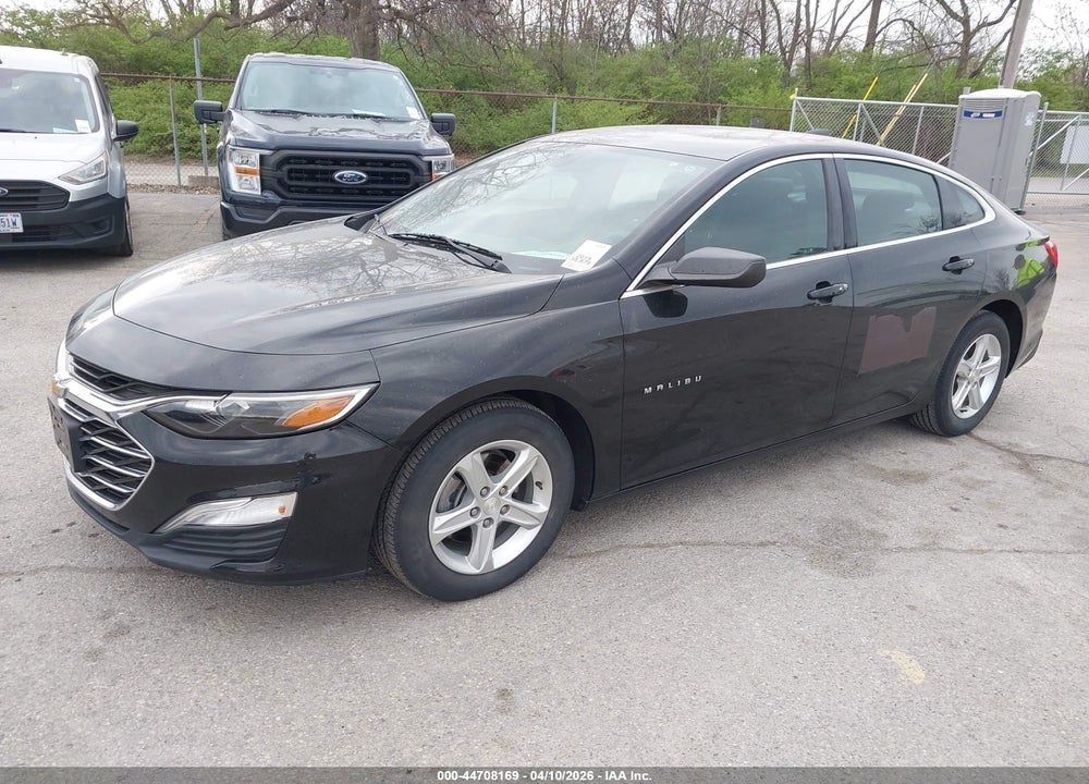 2019 CHEVROLET MALIBU 1FL VIN: 1G1ZC5ST2KF209283
