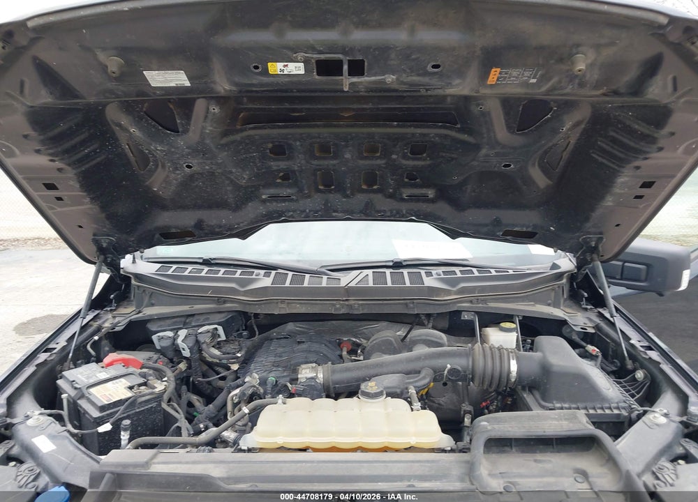 2021 FORD F-150 XL VIN: 1FTEW1EB8MFB38439