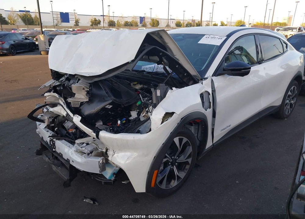 2025 FORD MUSTANG MACH-E SELECT VIN: 3FMTK1R43SMA42631