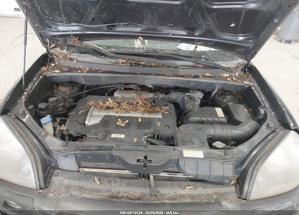 2006 HYUNDAI TUCSON GL VIN: KM8JM72B46U308849