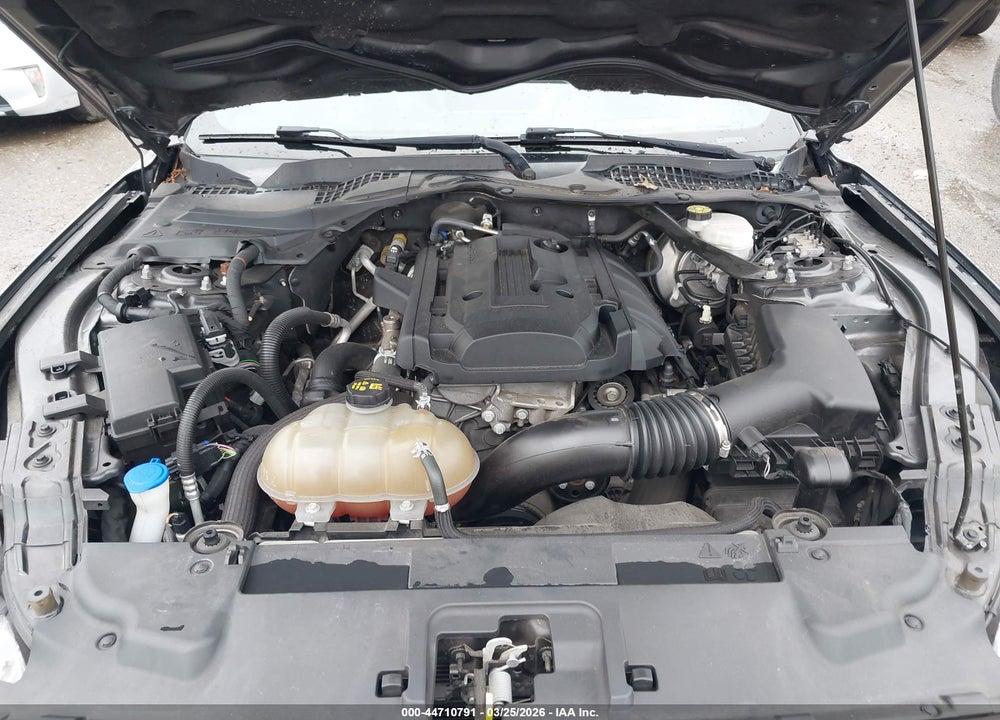 2019 FORD MUSTANG ECOBOOST PREMIUM VIN: 1FATP8UH7K5159147