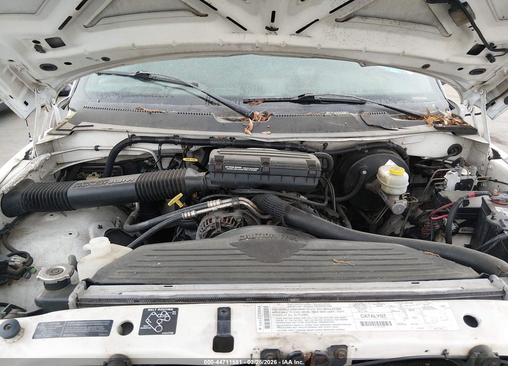 2000 DODGE RAM 1500 ST VIN: 3B7HC13Z6YG110133