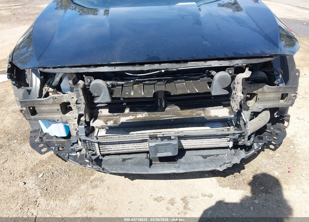 2019 HONDA ACCORD EX-L VIN: 1HGCV1F56KA128443