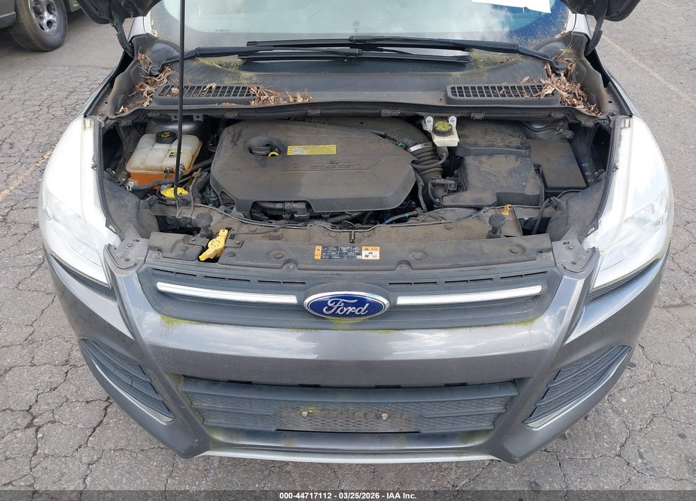 2013 FORD ESCAPE SE VIN: 1FMCU0GX5DUA53436