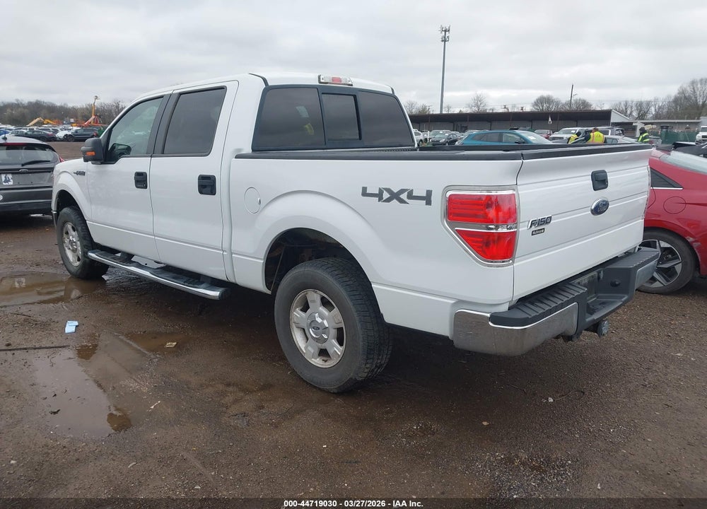 2010 FORD F-150 XL/XLT VIN: 1FTEW1E83AFB55228