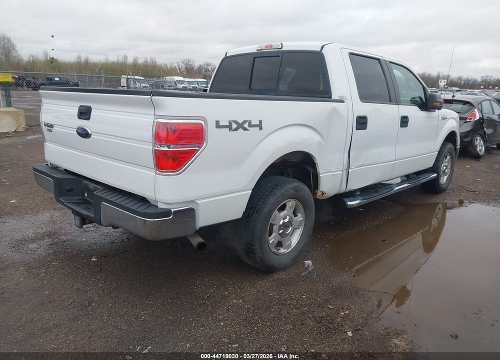 2010 FORD F-150 XL/XLT VIN: 1FTEW1E83AFB55228