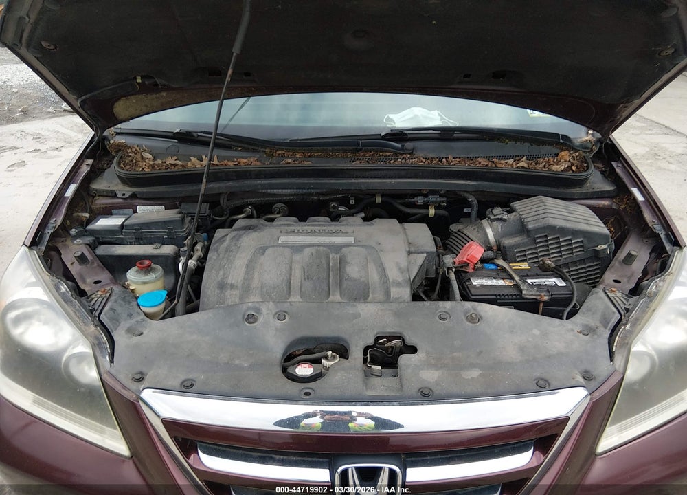 2007 HONDA ODYSSEY EX-L VIN: 5FNRL387X7B441194