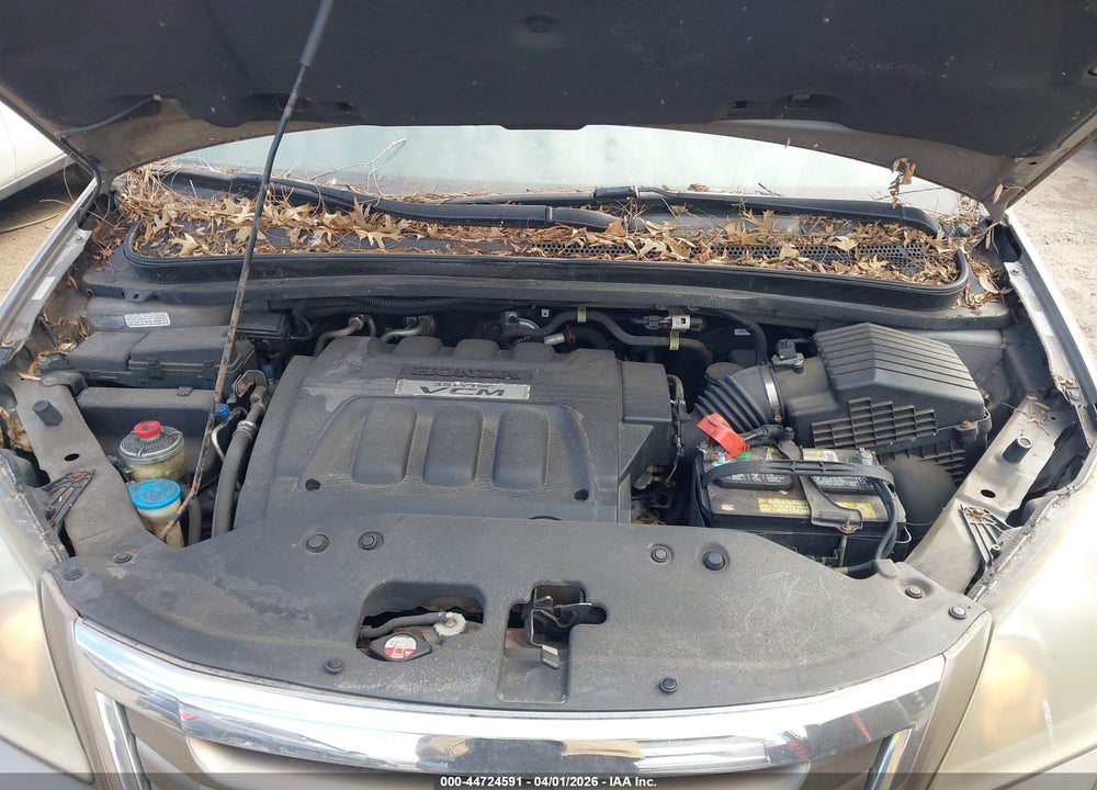 2008 HONDA ODYSSEY EX-L VIN: 5FNRL386X8B116392
