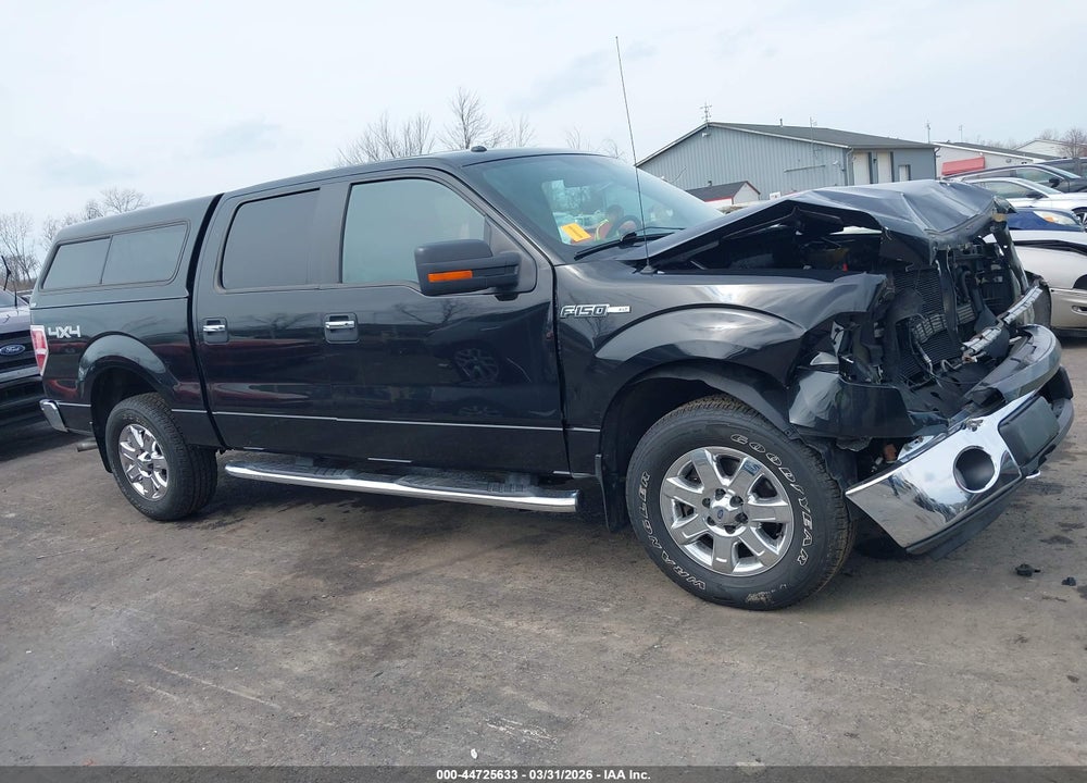 2013 FORD F-150 XLT VIN: 1FTFW1EF7DFD54273