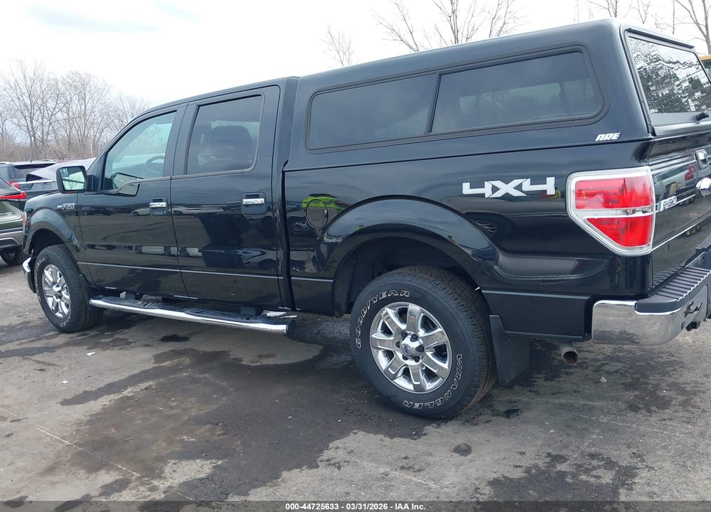 2013 FORD F-150 XLT VIN: 1FTFW1EF7DFD54273