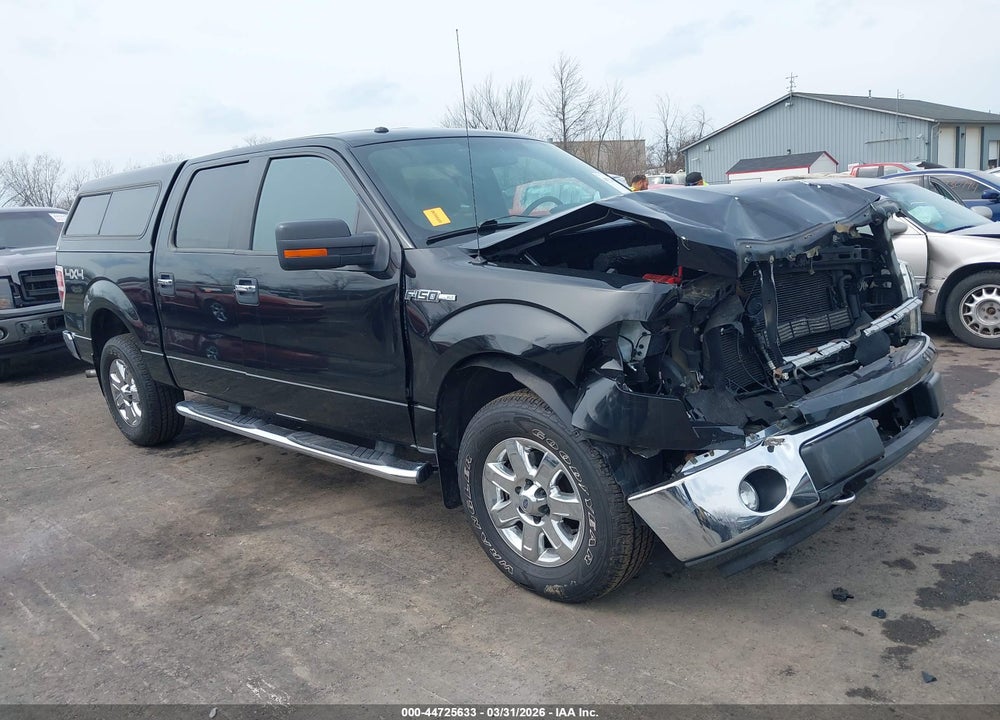 2013 FORD F-150 XLT VIN: 1FTFW1EF7DFD54273