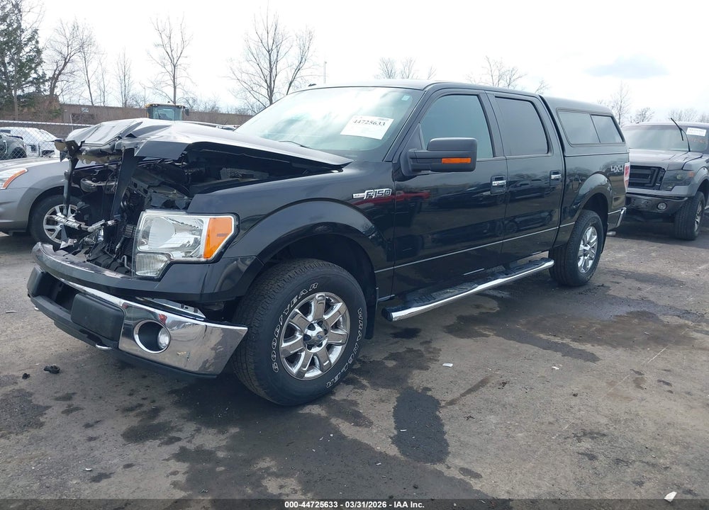 2013 FORD F-150 XLT VIN: 1FTFW1EF7DFD54273