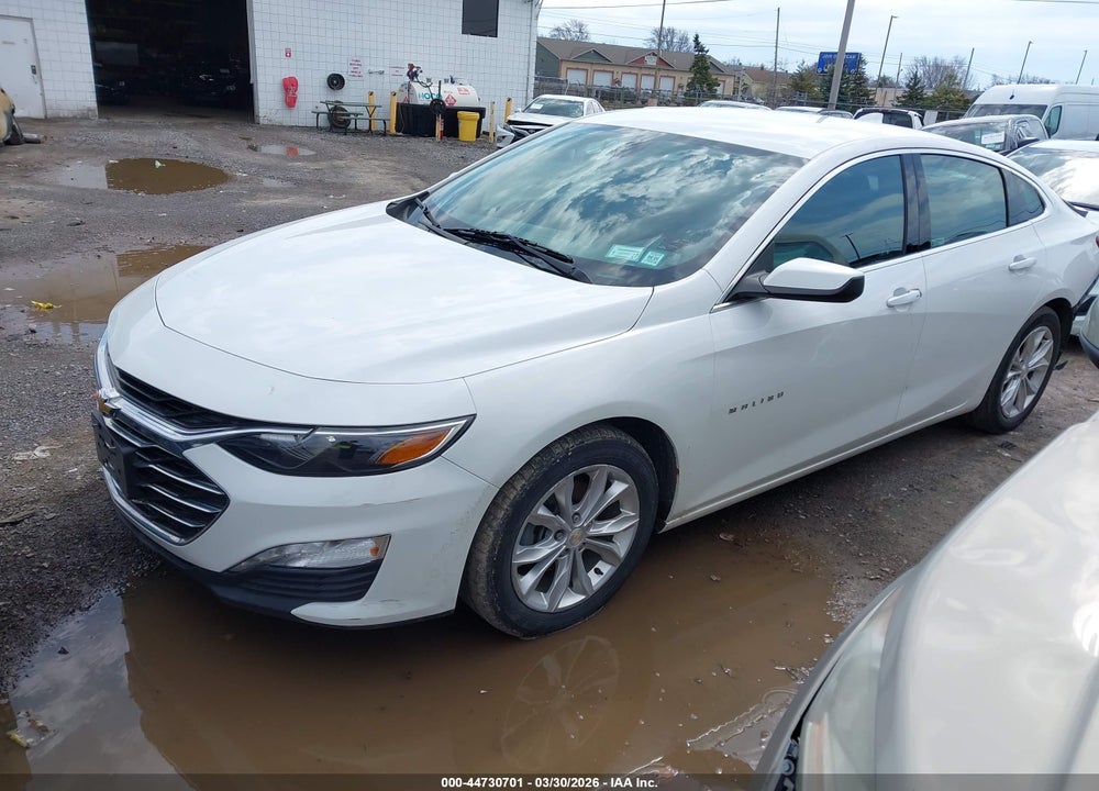 2019 CHEVROLET MALIBU LT VIN: 1G1ZD5ST5KF149710