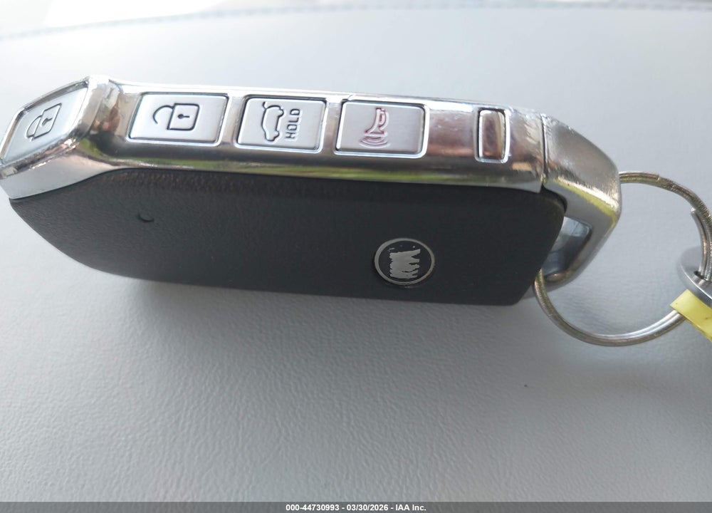 2020 KIA TELLURIDE EX VIN: 5XYP3DHC7LG034317
