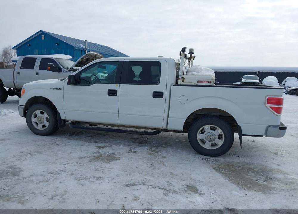 2014 FORD F-150 XLT VIN: 1FTFW1EF3EKD27984