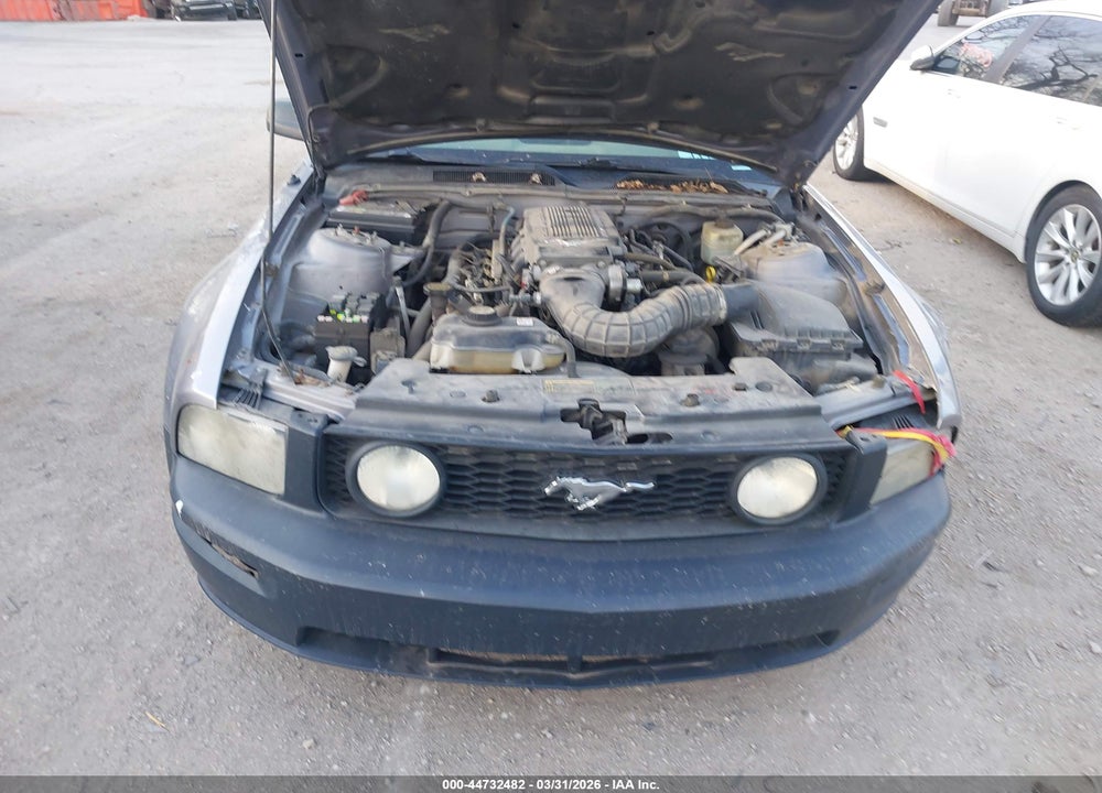 2006 FORD MUSTANG GT VIN: 1ZVFT82H865249013