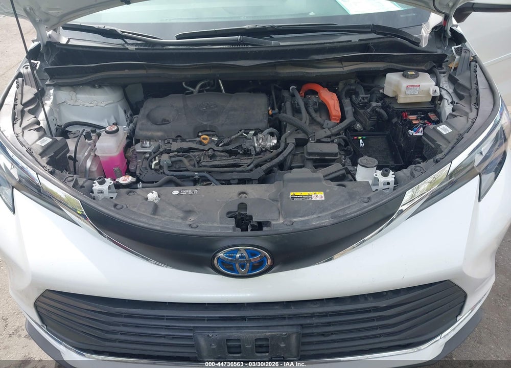 2024 TOYOTA SIENNA XLE VIN: 5TDJSKFC9RS116156
