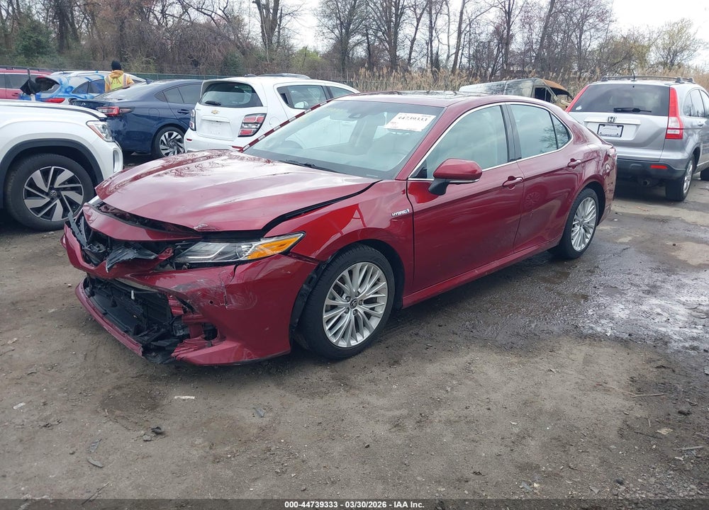 2020 TOYOTA CAMRY XLE HYBRID VIN: 4T1F31AKXLU014181