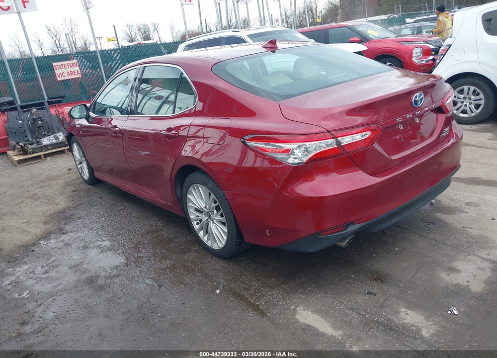 2020 TOYOTA CAMRY XLE HYBRID VIN: 4T1F31AKXLU014181