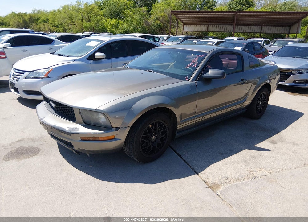 2005 FORD MUSTANG V6 DELUXE/V6 PREMIUM VIN: 1ZVFT80NX55192255
