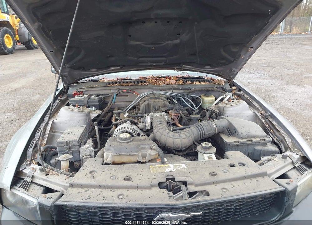2006 FORD MUSTANG V6 VIN: 1ZVFT84N465210065