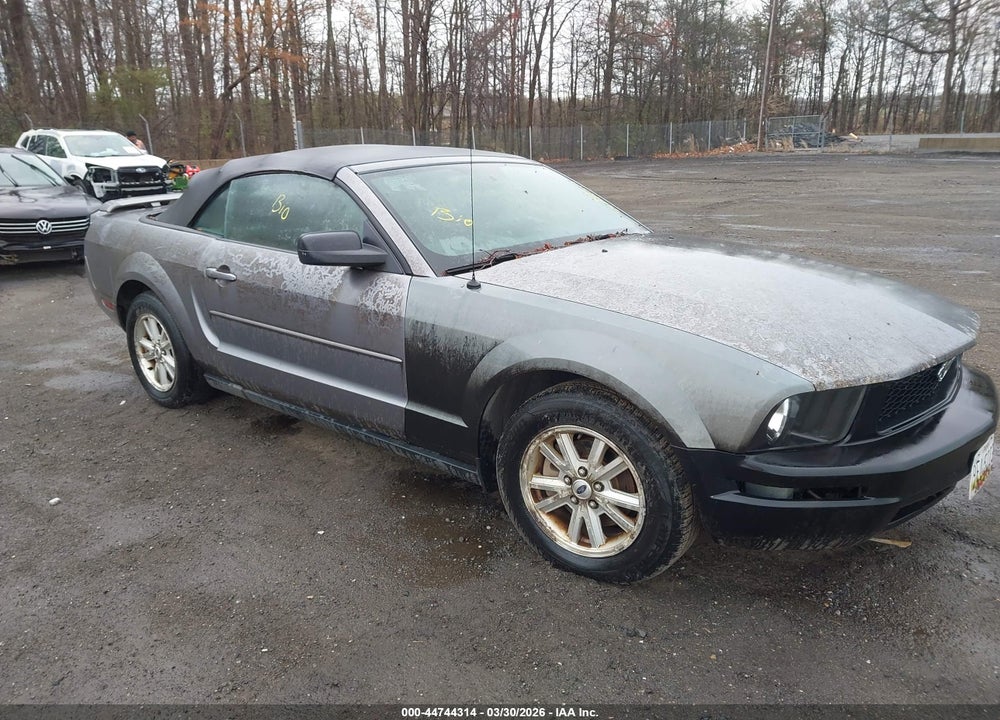 2006 FORD MUSTANG V6 VIN: 1ZVFT84N465210065