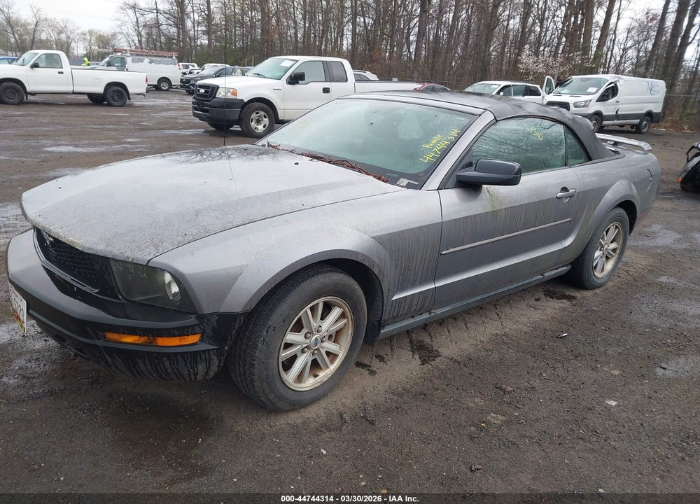 2006 FORD MUSTANG V6 VIN: 1ZVFT84N465210065