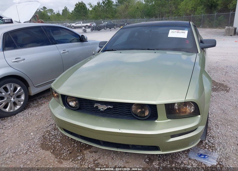 2006 FORD MUSTANG GT VIN: 1ZVFT82H265191951